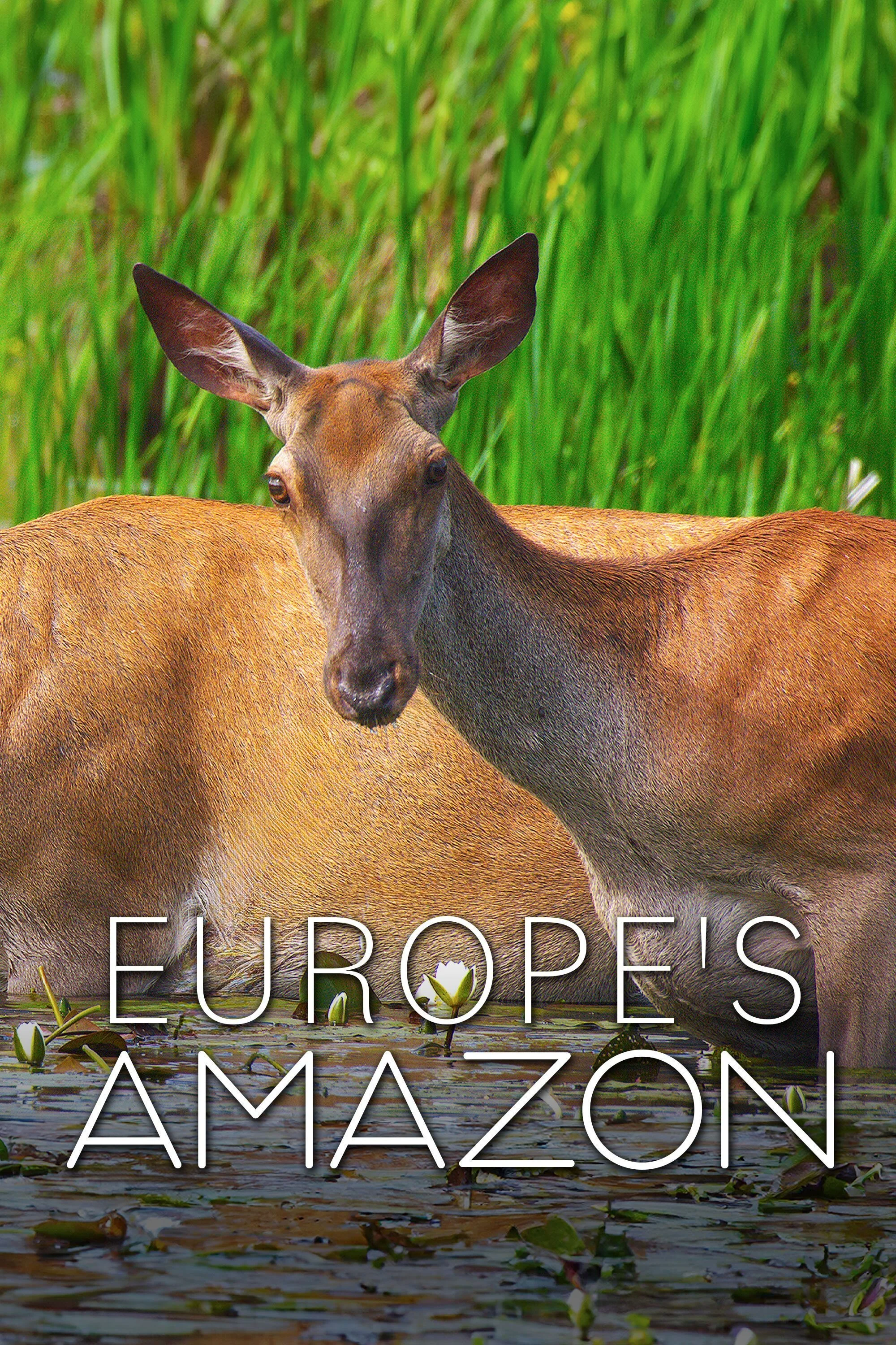 Affiche de Europe's Amazon