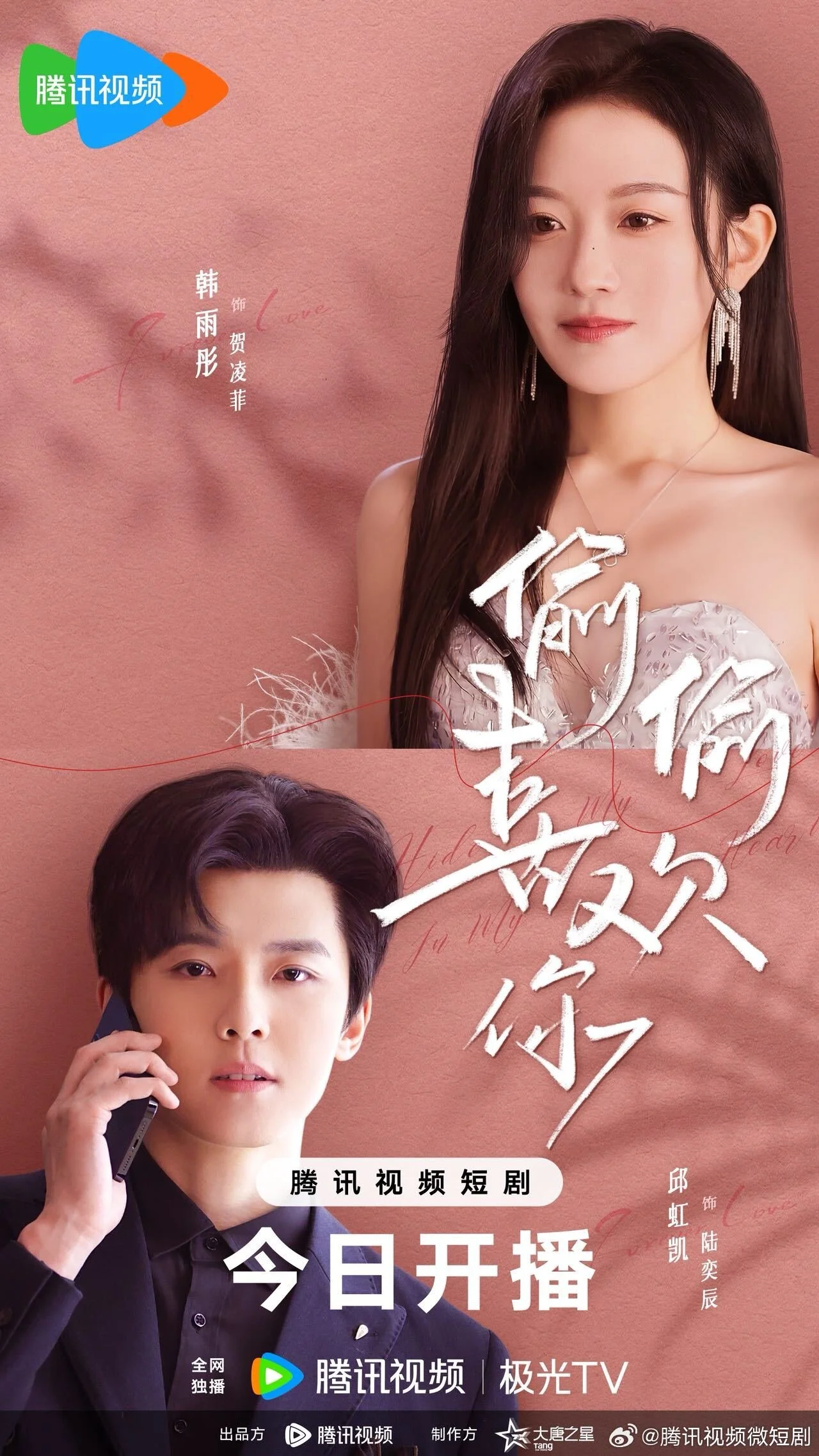 Affiche de Secretly Loving You