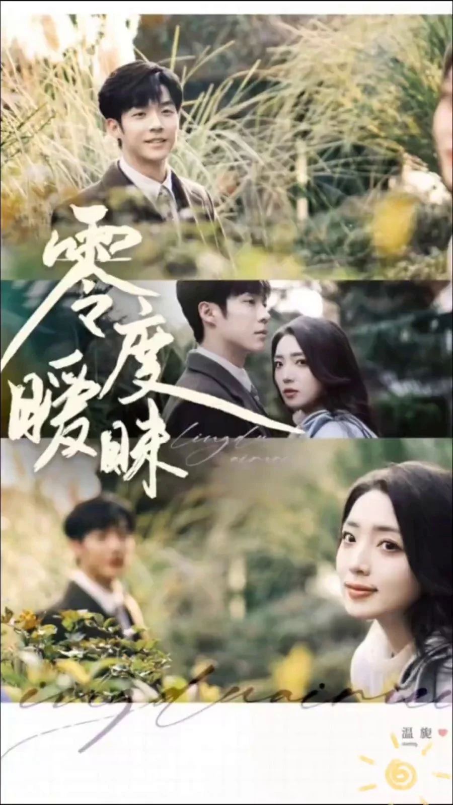 Poster di Ling Du Ai Mei