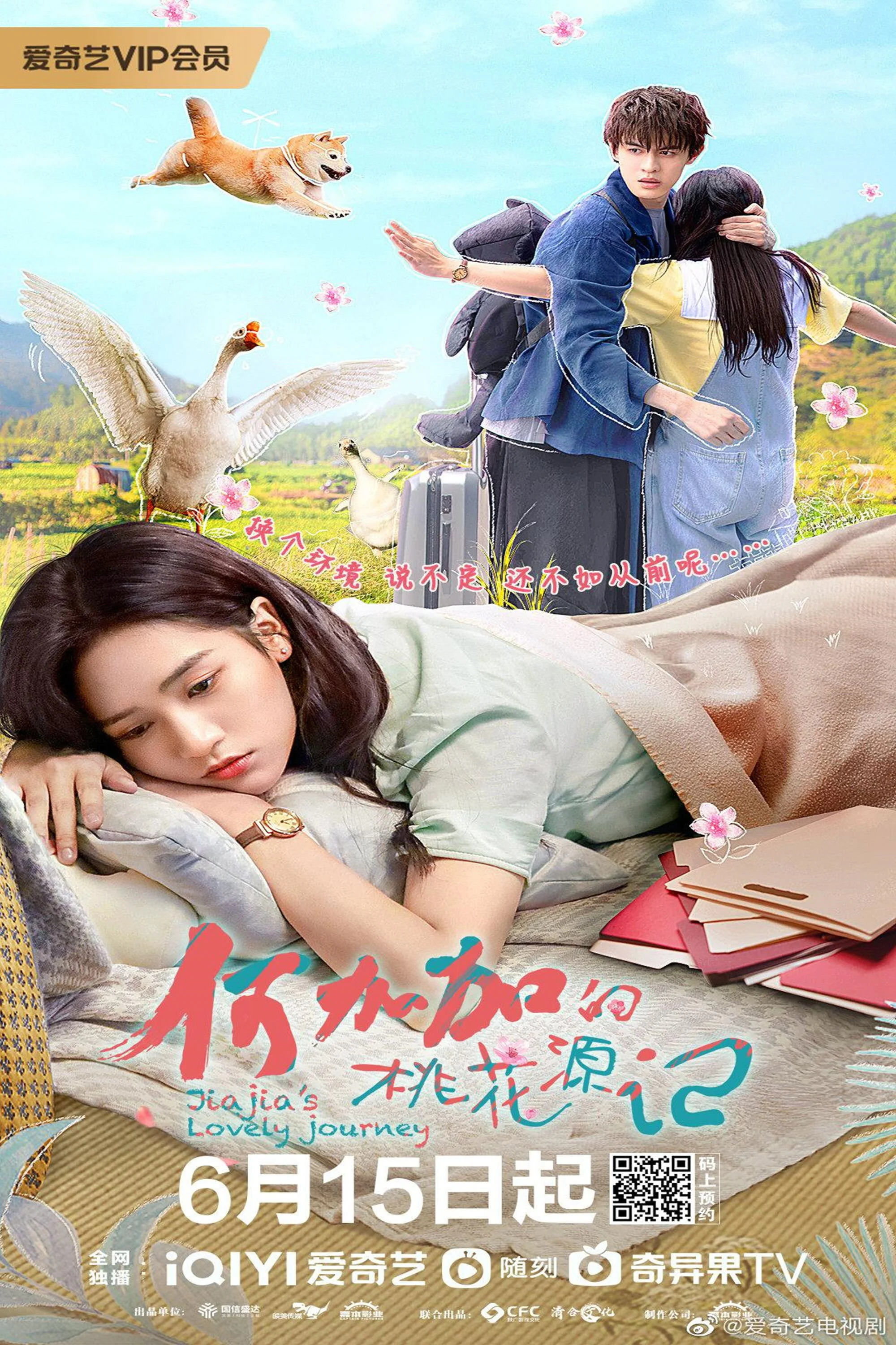 Affiche de Jiajia's Lovely Journey