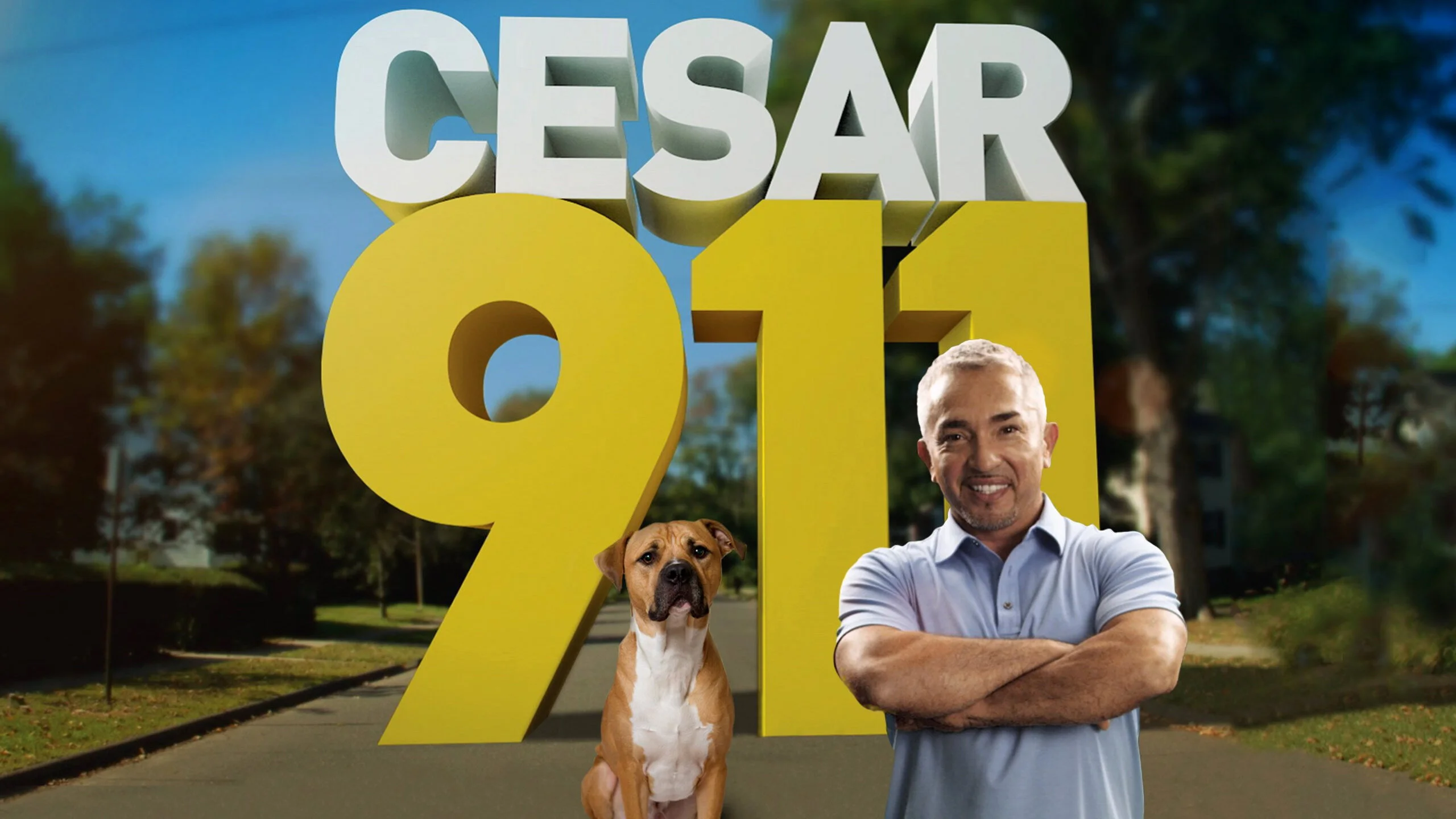 Cesar 911
