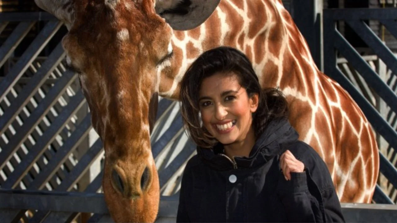 Zoo Days