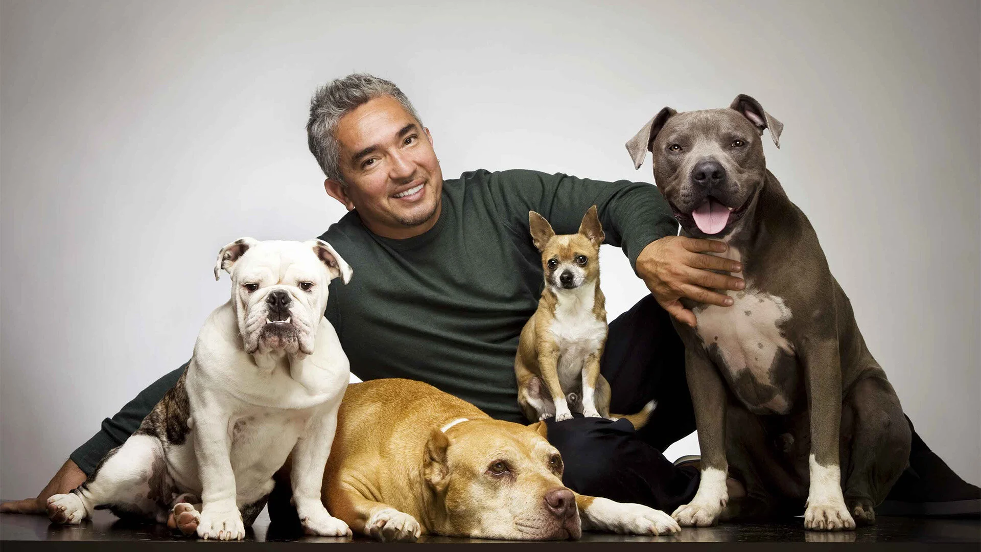 César, l'homme qui parle aux chiens