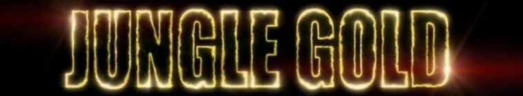 Galerie 1